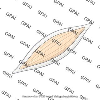 Sheath