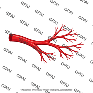 Renal blood vessel