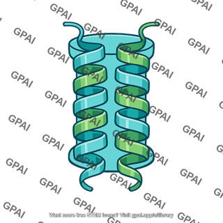Transmembrane transporter protein