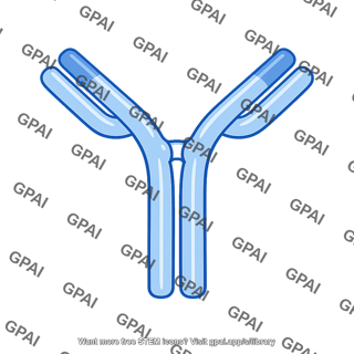 Immunoglobulin