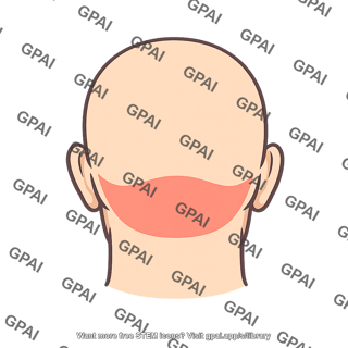 Head posterior