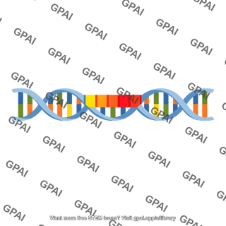 Promoter dna sequence