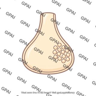 Neuronal terminal