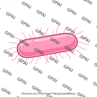 Rod shaped bacterium