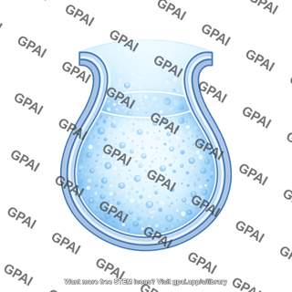 Vesicle medium stage 3 filled