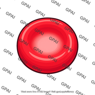 Red blood cell