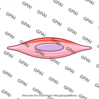 Multi unit smooth muscle cell depolarized
