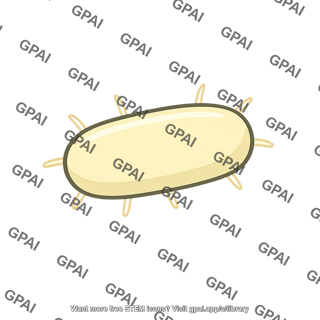 Oral bacterium