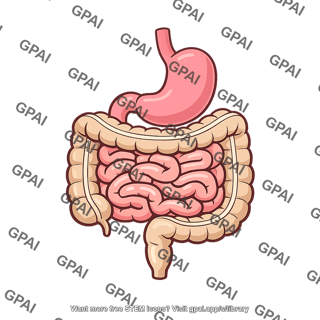 Digestive system