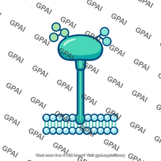 Cell adhesion protein