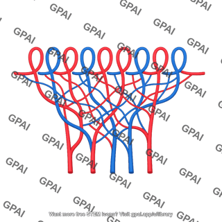 Cutaneous circulation