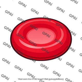 Red blood cell enlarged