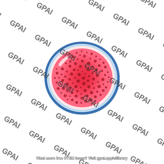 Granule lysosomal