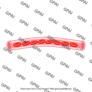 Capillary