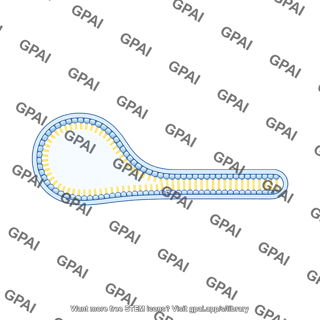 Extending membrane bilayer