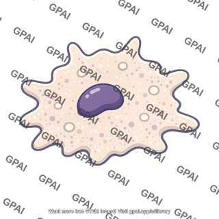 Macrophage