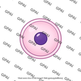 Primordial ovum