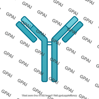 Antibody ab2