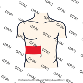 Body half circumferential segment