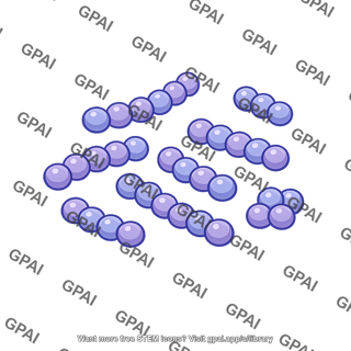 Streptococcus mutans