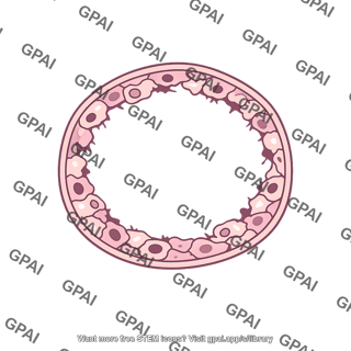 Tubular epithelium degenerate