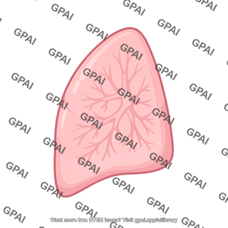 Lung lobe