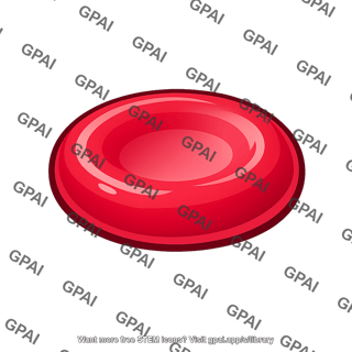 Red blood cell