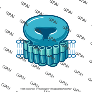 Adenylyl cyclase