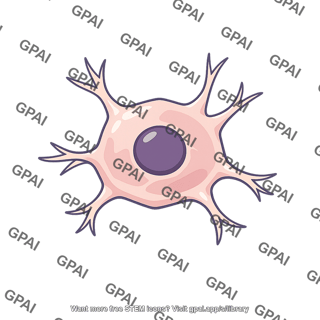 Cell body