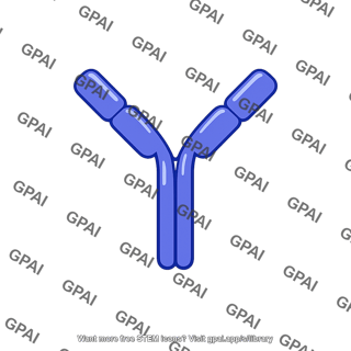 Antibody