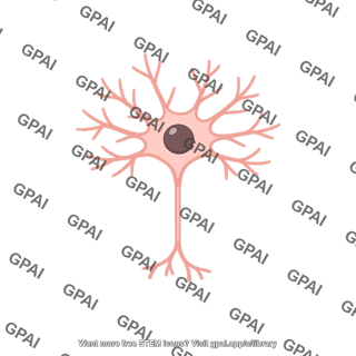 Granular neuron