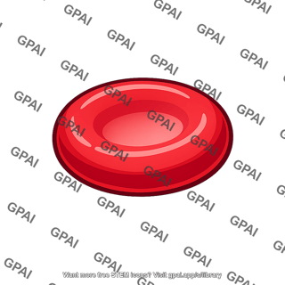Erythrocyte
