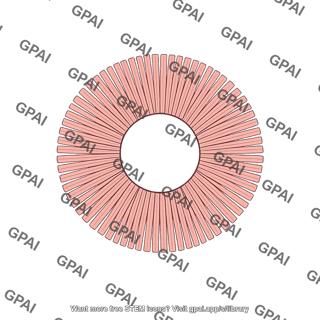 Iris radial fiber