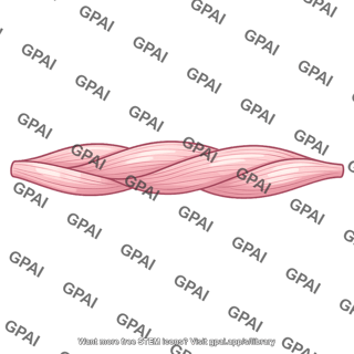 Collagen fibril bundle