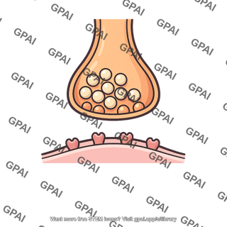 Neuronal synapse