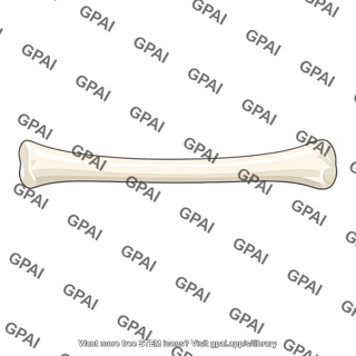 Femur shaft