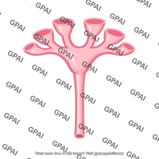 Urinary collecting system
