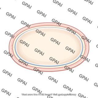 Oval frame