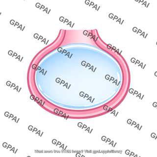 Alveolar fluid