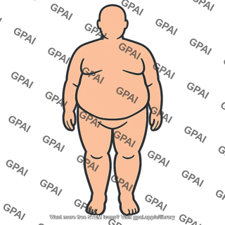 Human body obese