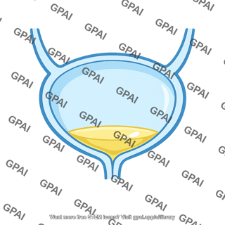 Residual urine