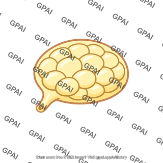 Urethral gland male