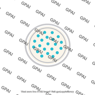 Synaptic transmitter vesicle