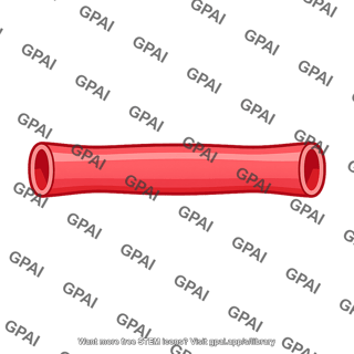 Blood vessel segment