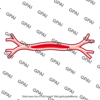 Blood capillary