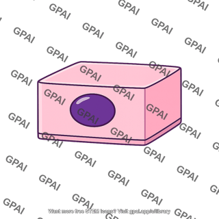Simple cuboidal epithelial cell