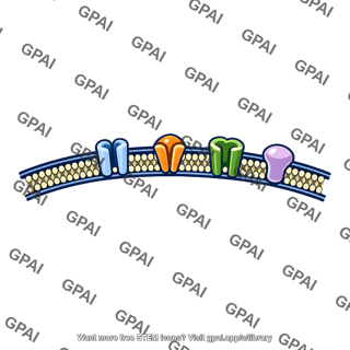Neural membrane