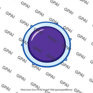 T lymphocyte