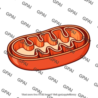 Mitochondrion