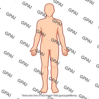 Body surface silhouette